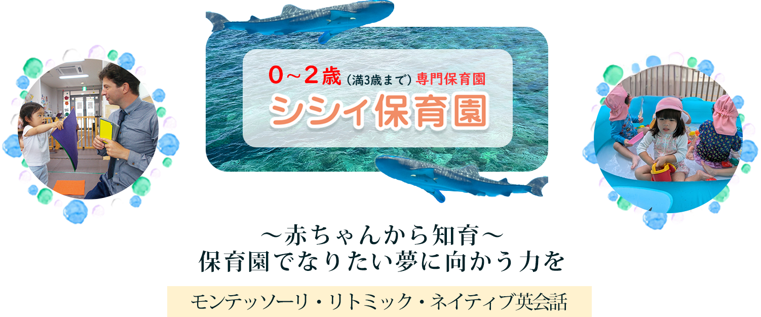 シシィ保育園 シシィ保育園